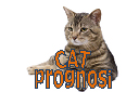 cat prognosi